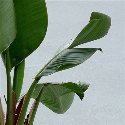 云开·全站(kaiyun)