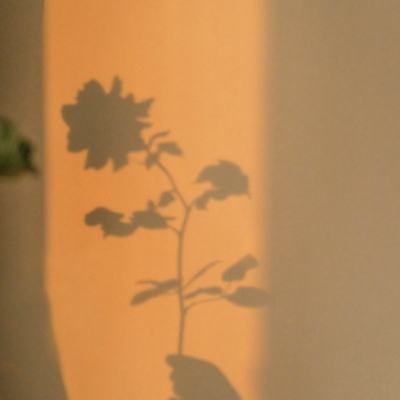 AOA体育登录入口下载手机版