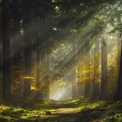 B体育官方网站下载