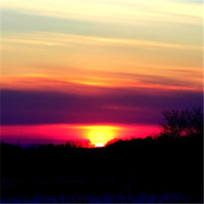 365体育手机版app下载