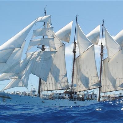 游戏官网平台入口