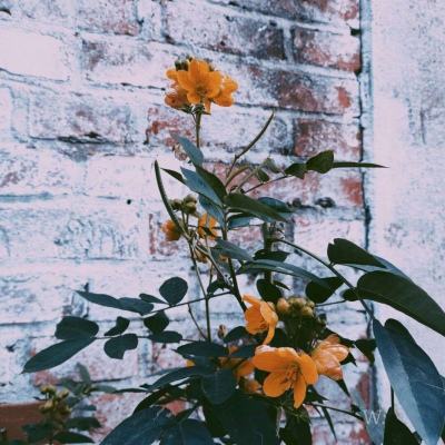 必赢亚洲下载手机版