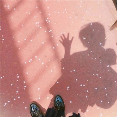 管家婆一码一肖资料手机app下载