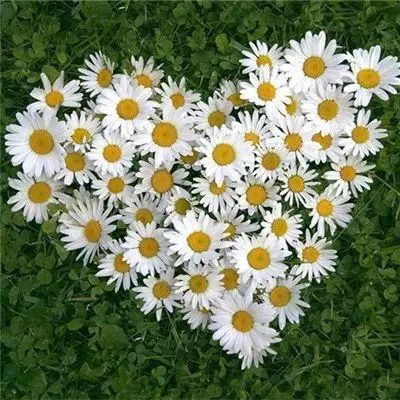 网上下单的足彩app